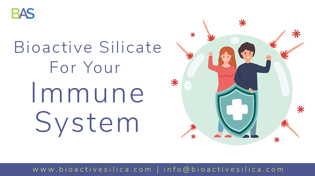 Bioactive Silicate for Immune System Support