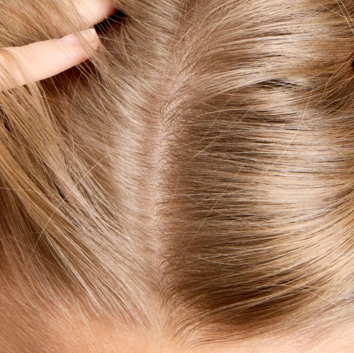 Nutrients That Pair Well With Silica for Healthy Hair and Skin